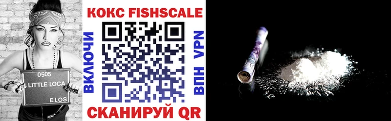 кракен   Свирск  COCAIN Fish Scale  где найти наркотики 