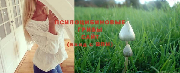 хмурый Армянск