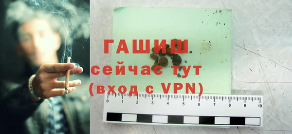 индика Аркадак