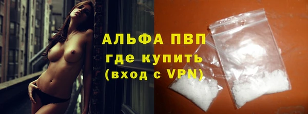индика Аркадак