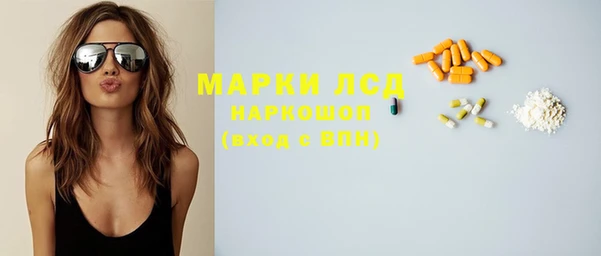 индика Аркадак