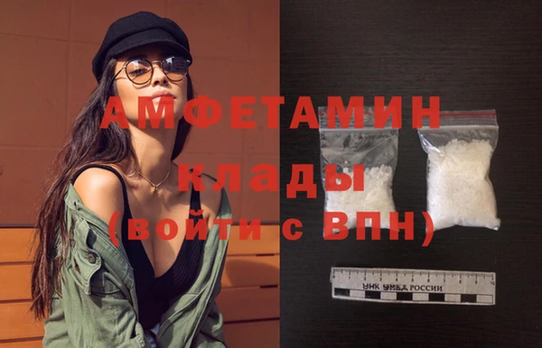 индика Аркадак